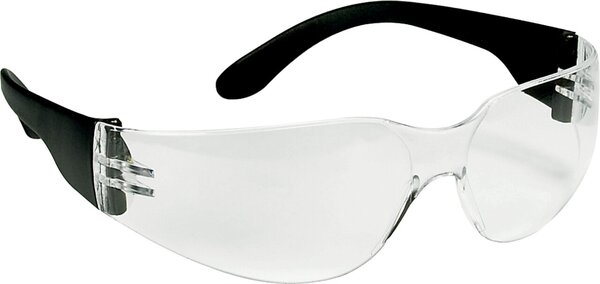 Ecobra Schutzbrille Standard, sportliche Einscheiben Schutzbrille