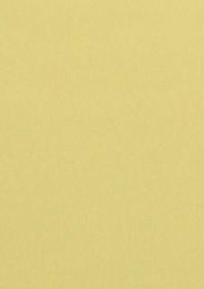 Pollen Farbiges Papier A4 160g chamois 50 Blatt