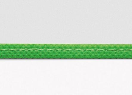 Buchhülle 290 mit Lasche grün grüner Rand