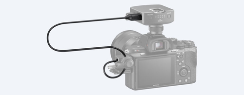 Image 1727755769976.jpg Image