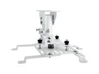 Image 1728792579644.jpg Image