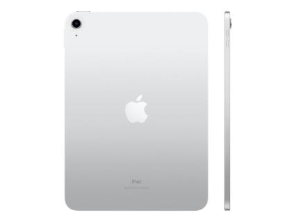 APPLE iPad Wi-Fi 27,7cm (10,9") A14 Bionic 4GB 64GB iPadOS