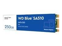 Image 1731647106169.jpg Image