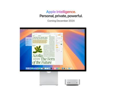 Image 1733375813050.jpg Image