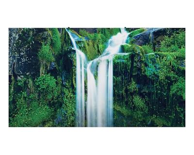 Image 1735017259521.jpg Image