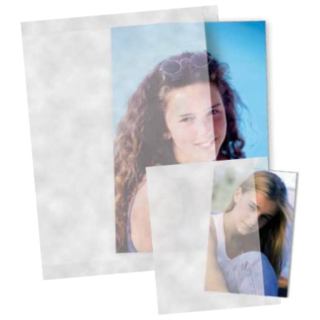 Image 1736745379986.png Image