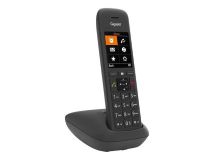 Image 1749821443534.jpg Image