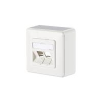 Image 1749821559666.jpg Image