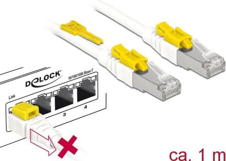 DELOCK RJ45 Kabel Cat 6A Secure  1.0m St/St RJ45 Kabel Cat 6A Secure  1.0m St/St