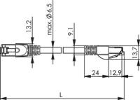 Image 1749821687918.jpg Image