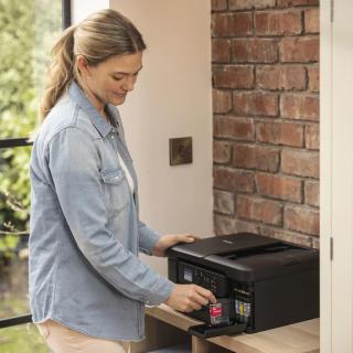 Image 1753157289919.jpg Image