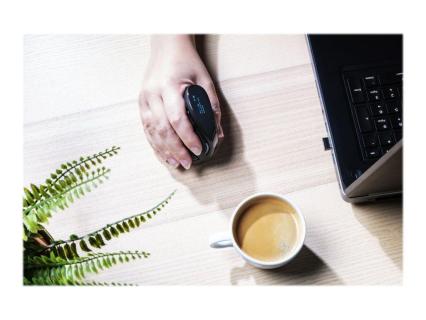 Image 1754496b-9d70-4645-a28b-88b8051c7ea3.jpg Image