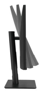 ASUS ProArt Display PA32UCE 80,01cm (31,5")