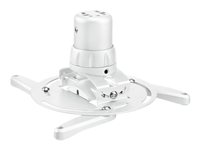 Image 18364e18-b549-43b1-a73f-a9d84b65d519.jpg Image