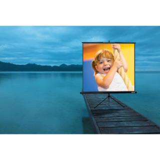 Image 18583429_4565195951.jpg Image