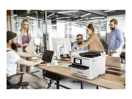 Image 185a91a8-6c8d-4a11-b9f4-637f15942bda.jpg Image