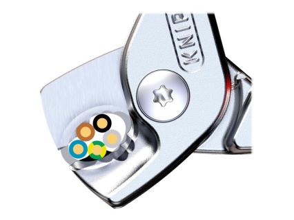 Image 18627b70-1c53-4a2c-969a-8c35e4db7982.jpg Image