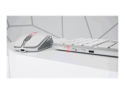 Image 19cc0537-2e24-45e8-a1b9-08f44f0b4319.jpg Image