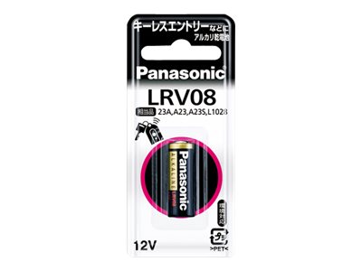 1 Panasonic LRV 08