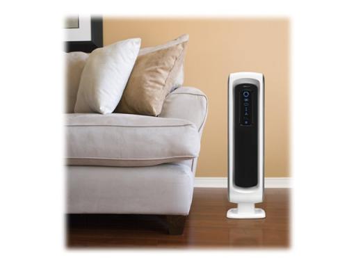 Image 1b7f53a2-bc4f-4322-83b2-2c27c6a64aff.jpg Image