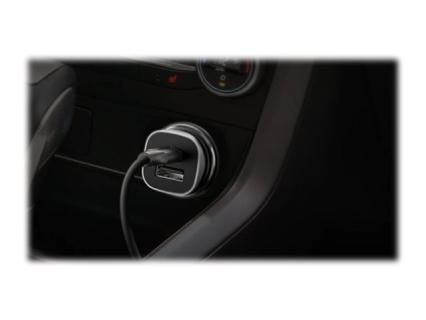 Image 1bd06c5f-7944-4015-b137-49292b3190c8.jpg Image