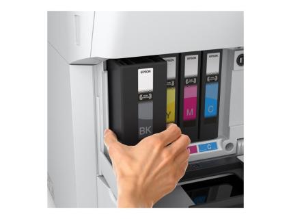 Image 1be0f9ad-12e5-4a34-b8ac-054a697395da.jpg Image