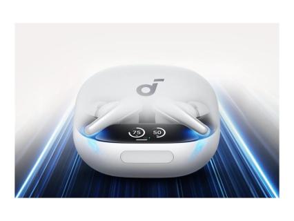 Image 1d93c373-08e2-4f28-afbc-6a5486fe7464.jpg Image