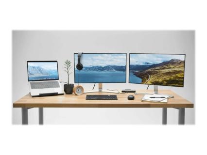 Image 1e033d5b-eb03-4cc1-85aa-189ea680efa5.jpg Image