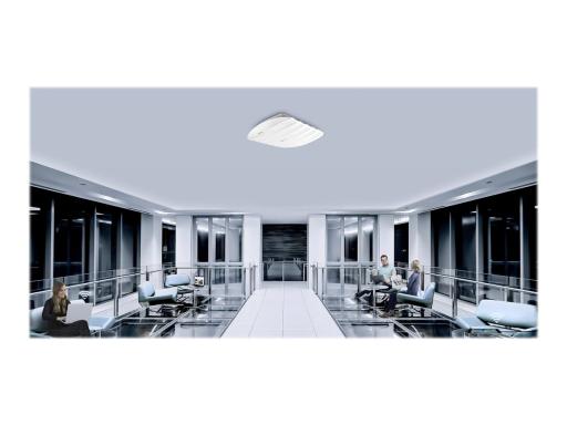 Image 1fe0ca49-d19b-4e54-bebb-a6c22486abf7.jpg Image