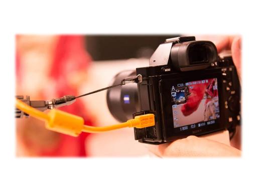 Image 1ff36337-36b0-458e-99cc-039e43077240.jpg Image