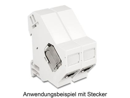 DELOCK Keystone Halterung für Hutschienen mit Erdung