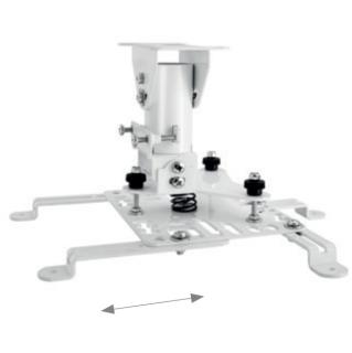 Image 21255791.jpg Image