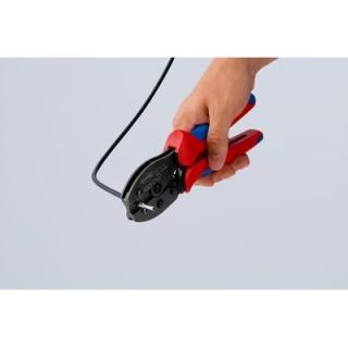 Image 21270165_10.jpg Image