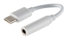 SHIVERPEAKS BASIC-S Audio-Adapter, C-Stecker - 3,5 mm Klinke analog, Anschlüsse