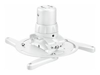 Image 22d45f1c-3017-40ec-9e87-28fde332eaa9.jpg Image