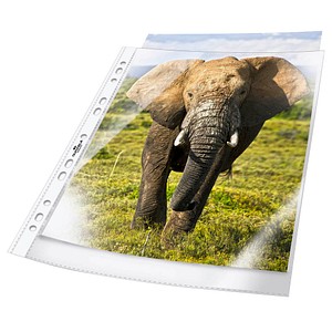 Image 238915.jpg Image