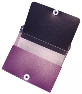 Visitenkarten-Etui / Visitenkartentaschen / Sichttaschen für 150 Karten, quer, aus PP,  mit Klappe und Druckknopf, Farbe: transparent farbig sortiert - 24 Etuis