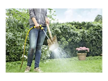 Image 2579de0e-93ee-490e-8ceb-f40218086201.jpg Image