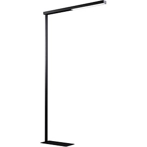 Image 260642.jpg Image