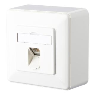 Image 26110808_2025_m_0_lo.jpg Image