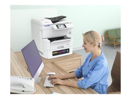 Image 2657da8d-e8b2-4704-b6dd-8649101257a0.jpg Image