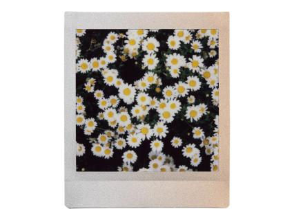 Image 26f3a249-91b3-48d4-8958-426d37126ccf.jpg Image