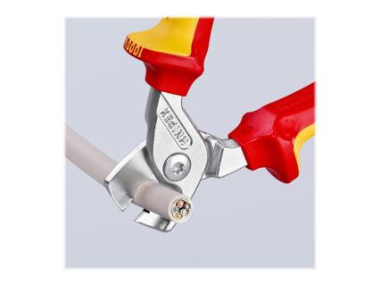 Image 272d8352-0753-4e49-bb15-24da4e9157dc.jpg Image