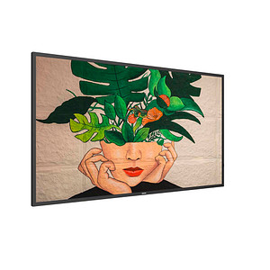 PHILIPS 50BDL4511D/00 digitales Flipchart 127,0 cm (50,0 Zoll)