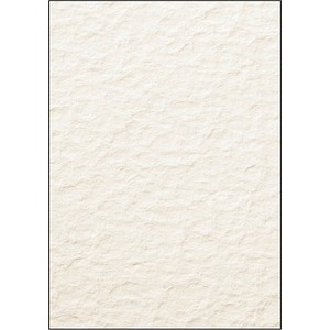 Image 291916.jpg Image