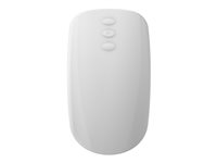 Image 29a5a590-a311-4a39-bfcc-21b0bc8a1551.jpg Image