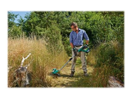 Image 2c87e24f-bc77-4e52-8d7c-e91607c54166.jpg Image