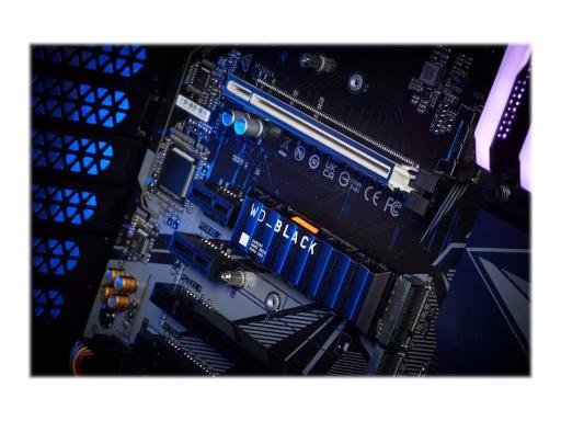 Image 2cc5a1c4-e369-4e54-9d85-848a4239aa86.jpg Image