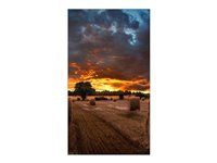 Image 2deb1891-b2d9-4413-9146-8225a151480c.jpg Image