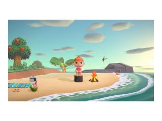 NINTENDO Animal Crossing: New Horizons Nintendo Switch 2 Edition